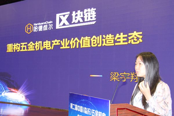 第二届中国（临沂）五金机电电商发展论坛成功举办(图8)