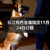 长江有色金属现货11月24日行情（图4）