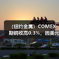 （纽约金属）COMEX期铜收高0.3%，因美元走软，供应面临中断