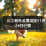 长江有色金属现货11月24日行情（图3）