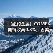 （纽约金属）COMEX期铜收高0.3%，因美元走软，供应面临中断（图2）