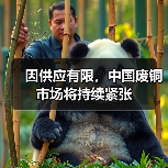 因供应有限，中国废铜市场将持续紧张