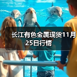 长江有色金属现货11月25日行情