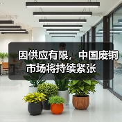 因供应有限，中国废铜市场将持续紧张（图3）