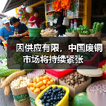 因供应有限，中国废铜市场将持续紧张（图4）