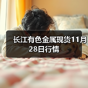 长江有色金属现货11月28日行情（图2）