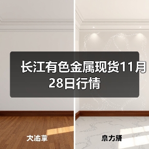 长江有色金属现货11月28日行情（图3）