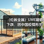 (伦敦金属)LME期铜下跌,因中国疫情形势引发需求担忧(图2) (伦敦金属)LME期铜下跌,因中国疫情形势引发需求担忧(图2)