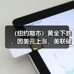 (纽约期市)黄金下跌,因美元上涨,美联储官员发布鹰派言论(图2) (纽约期市)黄金下跌,因美元上涨,美联储官员发布鹰派言论(图2)