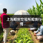 上海期货交易所期货行情（图2）