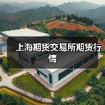 上海期货交易所期货行情（图4）