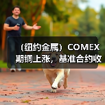 （纽约金属）COMEX期铜上涨，基准合约收高0.7%（图3）