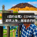 （纽约金属）COMEX期铜上涨，基准合约收高0.7%（图4）