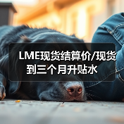 LME现货结算价/现货到三个月升贴水