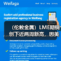 (伦敦金属)LME期铜创下近两周新高,因美元走弱(图3) (伦敦金属)LME期铜创下近两周新高,因美元走弱(图3)