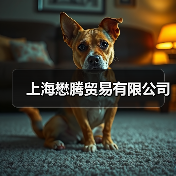 上海懋腾贸易有限公司