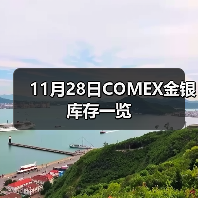 11月28日COMEX金银库存一览（图3）