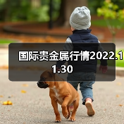 国际贵金属行情2022.11.30（图3）
