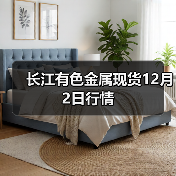 长江有色金属现货12月2日行情(图4) 长江有色金属现货12月2日行情(图4)