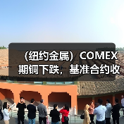 (纽约金属)COMEX期铜下跌,基准合约收低1.4%(图2) (纽约金属)COMEX期铜下跌,基准合约收低1.4%(图2)