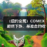 (纽约金属)COMEX期铜下跌,基准合约收低1.4%(图4) (纽约金属)COMEX期铜下跌,基准合约收低1.4%(图4)