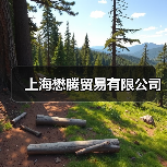 上海懋腾贸易有限公司（图1）