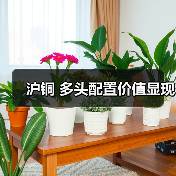 沪铜 多头配置价值显现(图2) 沪铜 多头配置价值显现(图2)