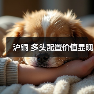 沪铜 多头配置价值显现(图1) 沪铜 多头配置价值显现(图1)
