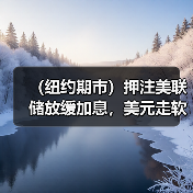 （纽约期市）押注美联储放缓加息，美元走软提振黄金突破1800美元（图1）