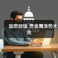 加息放缓 贵金属涨势未完(图4) 加息放缓 贵金属涨势未完(图4)