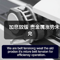 加息放缓 贵金属涨势未完(图3) 加息放缓 贵金属涨势未完(图3)