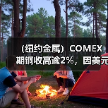 (纽约金属)COMEX期铜收高逾2%,因美元走软(图3) (纽约金属)COMEX期铜收高逾2%,因美元走软(图3)