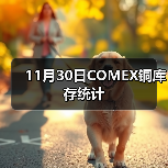 11月30日COMEX铜库存统计（图4）