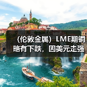 (伦敦金属)LME期铜略有下跌,因美元走强,关注中国疫情政策(图2) (伦敦金属)LME期铜略有下跌,因美元走强,关注中国疫情政策(图2)