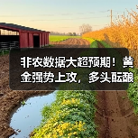 非农数据大超预期！黄金强势上攻，多头酝酿更大爆发？（图4）