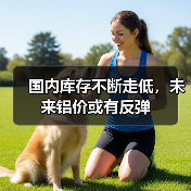 国内库存不断走低,未来铝价或有反弹(图4) 国内库存不断走低,未来铝价或有反弹(图4)