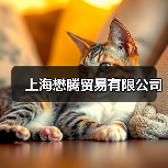 上海懋腾贸易有限公司（图4）
