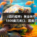 (纽约期市)黄金失守1800美元关口,因美元上涨(图4) (纽约期市)黄金失守1800美元关口,因美元上涨(图4)