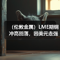 (伦敦金属)LME期铜冲高回落,因美元走强冲淡中国需求乐观情绪(图2) (伦敦金属)LME期铜冲高回落,因美元走强冲淡中国需求乐观情绪(图2)
