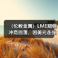 (伦敦金属)LME期铜冲高回落,因美元走强冲淡中国需求乐观情绪(图3) (伦敦金属)LME期铜冲高回落,因美元走强冲淡中国需求乐观情绪(图3)