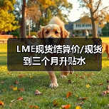 LME现货结算价/现货到三个月升贴水
