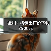 金川：将镍出厂价下调2500元（图3）
