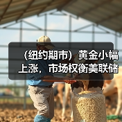 (纽约期市)黄金小幅上涨,市场权衡美联储加息路径(图2) (纽约期市)黄金小幅上涨,市场权衡美联储加息路径(图2)