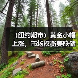 （纽约期市）黄金小幅上涨，市场权衡美联储加息路径