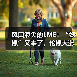风口浪尖的LME:“妖镍”又来了,伦镍大涨10%创七个月新高,媒体称LME再成收购目标(图2) 风口浪尖的LME:“妖镍”又来了,伦镍大涨10%创七个月新高,媒体称LME再成收购目标(图2)