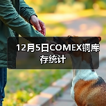 12月5日COMEX铜库存统计