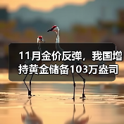 11月金价反弹,我国增持黄金储备103万盎司(图2) 11月金价反弹,我国增持黄金储备103万盎司(图2)