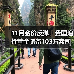 11月金价反弹,我国增持黄金储备103万盎司(图4) 11月金价反弹,我国增持黄金储备103万盎司(图4)