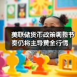 美联储货币政策调整节奏仍将主导黄金行情(图3) 美联储货币政策调整节奏仍将主导黄金行情(图3)