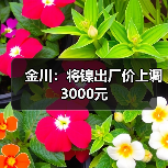 金川：将镍出厂价上调3000元（图4）